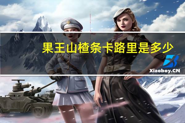 果王 山楂条卡路里是多少
