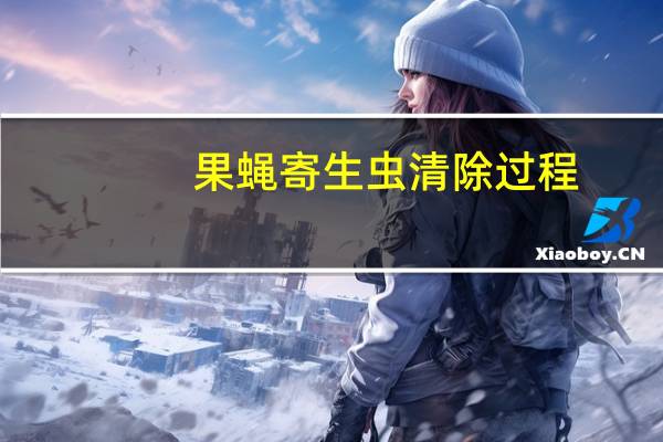 果蝇寄生虫清除过程（果蝇）