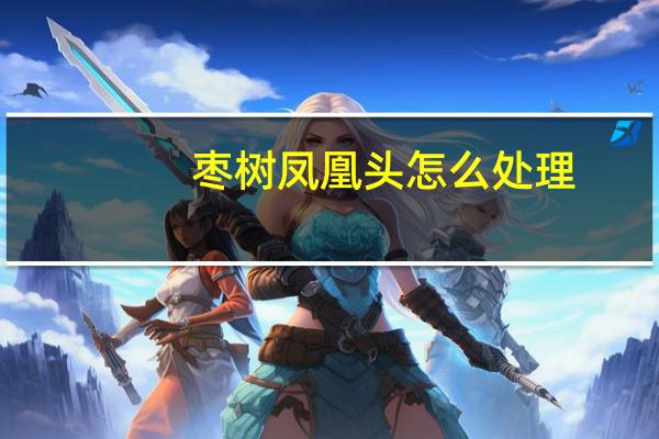 枣树凤凰头怎么处理
