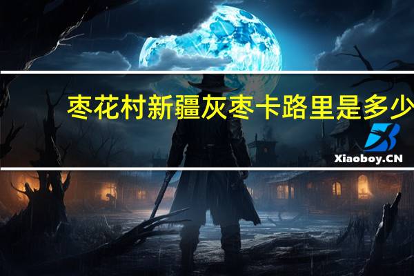 枣花村 新疆灰枣卡路里是多少