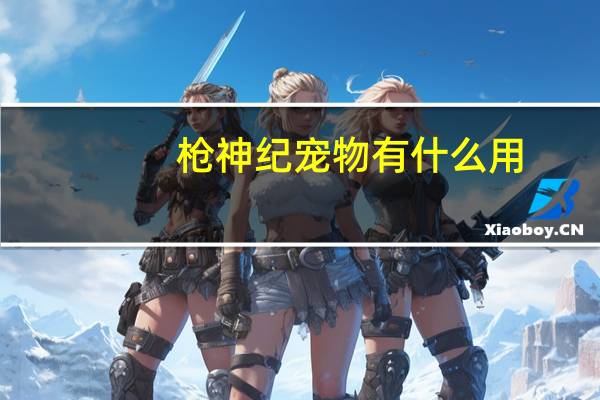枪神纪宠物有什么用
