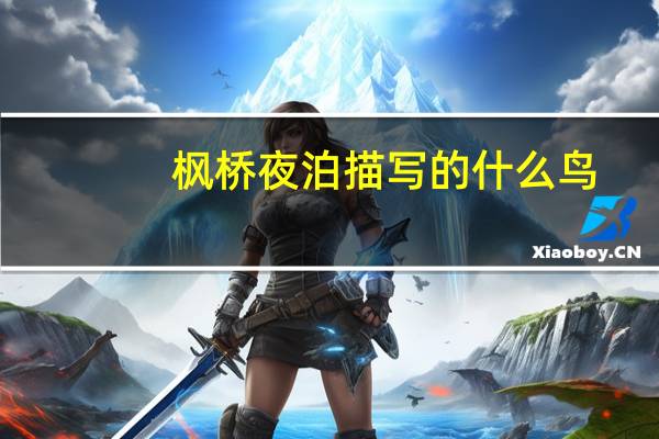 枫桥夜泊描写的什么鸟