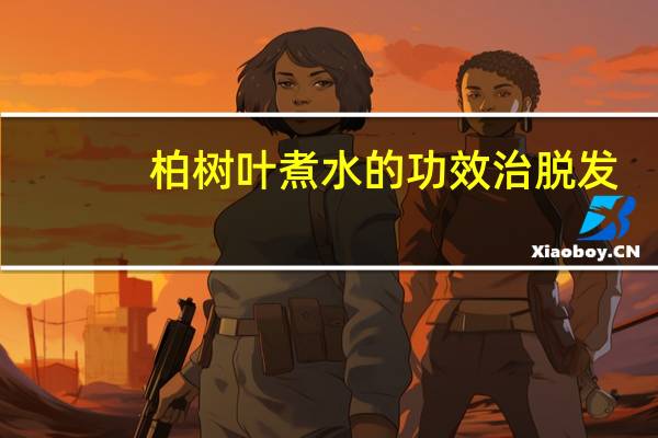 柏树叶煮水的功效治脱发（侧柏叶对脱发的功效）