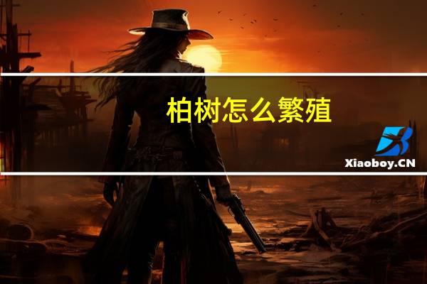 柏树怎么繁殖
