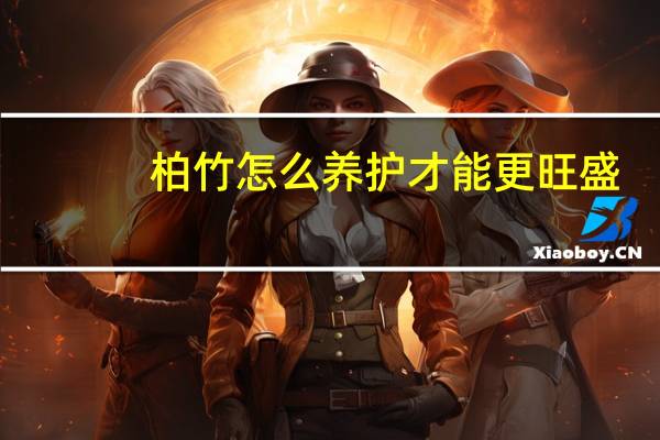 柏竹怎么养护才能更旺盛