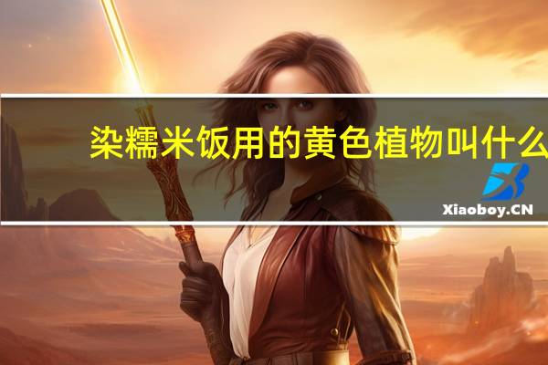 染糯米饭用的黄色植物叫什么