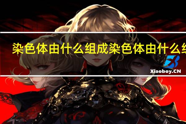 染色体由什么组成 染色体由什么组成