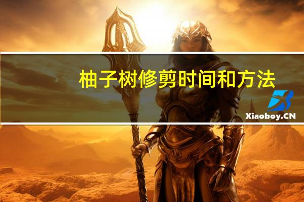 柚子树修剪时间和方法