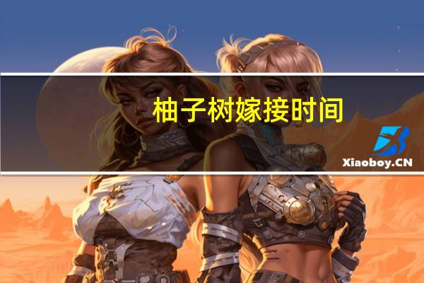 柚子树嫁接时间