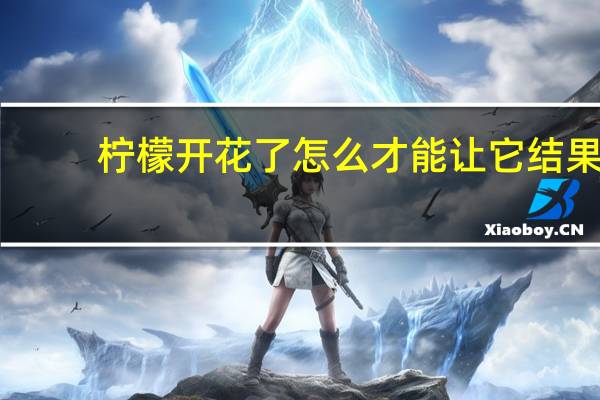柠檬开花了怎么才能让它结果