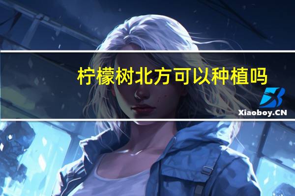 柠檬树北方可以种植吗