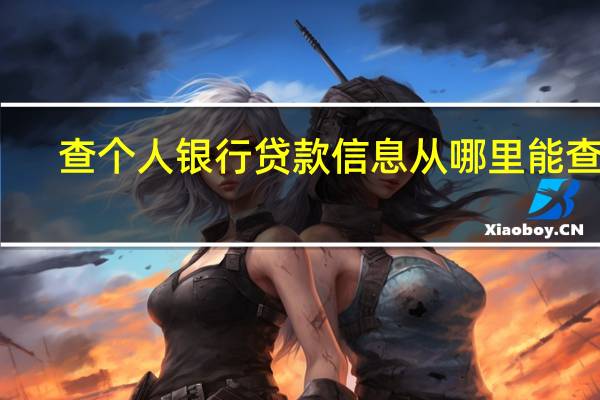 查个人银行贷款信息从哪里能查到(银行能够查询个人的贷款记录吗)