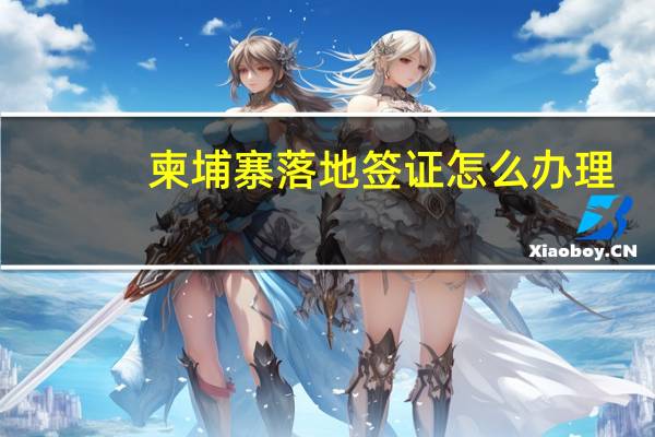 柬埔寨落地签证怎么办理（柬埔寨落地签证怎么办理）