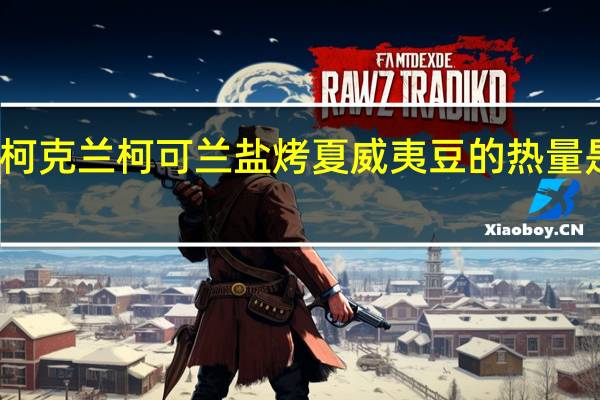 柯克兰 柯可兰 盐烤夏威夷豆的热量是多少