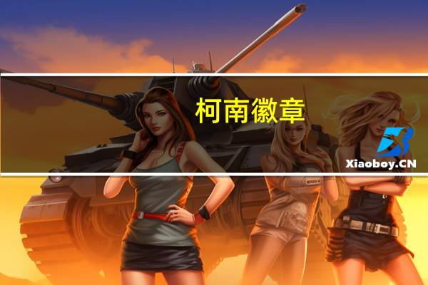 柯南徽章（关于柯南徽章的介绍）