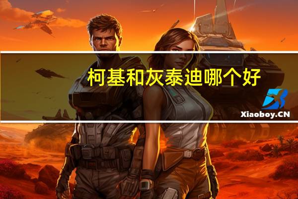 柯基和灰泰迪哪个好
