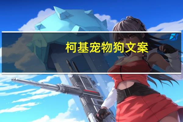 柯基宠物狗文案