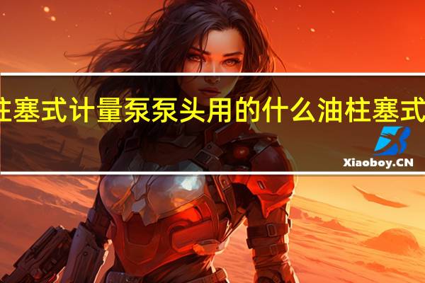柱塞式计量泵泵头用的什么油 柱塞式计量泵