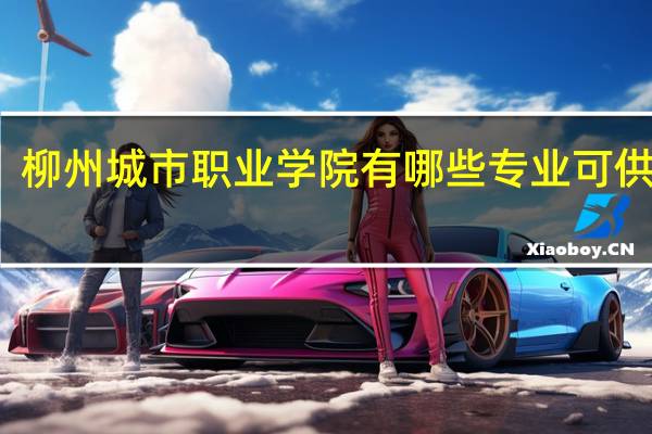 柳州城市职业学院有哪些专业可供选择