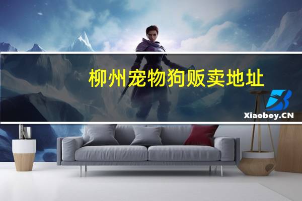 柳州宠物狗贩卖地址