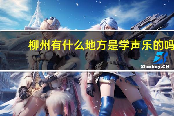 柳州有什么地方是学声乐的吗