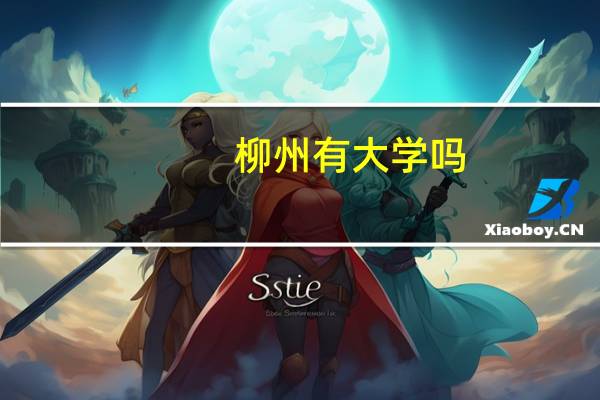 柳州有大学吗