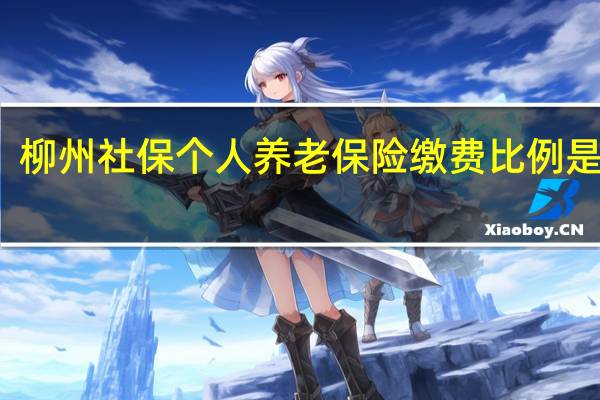 柳州社保个人养老保险缴费比例是多少