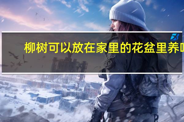 柳树可以放在家里的花盆里养吗