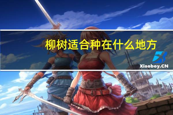 柳树适合种在什么地方