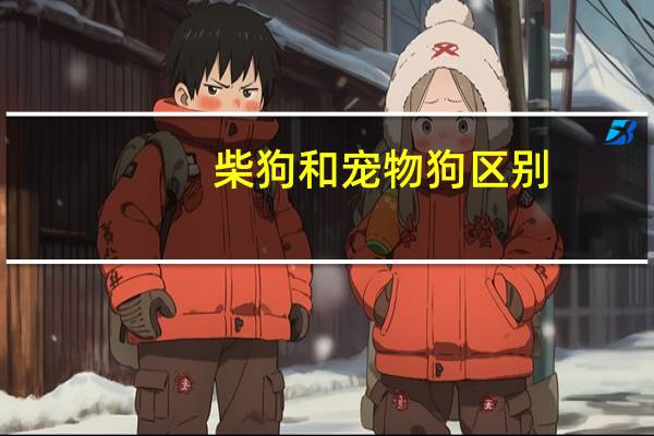 柴狗和宠物狗区别