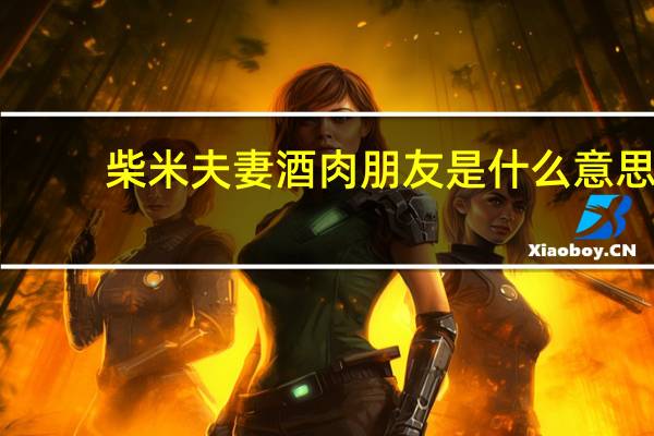 柴米夫妻酒肉朋友是什么意思