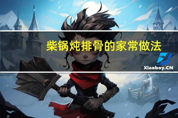 柴锅炖排骨的家常做法