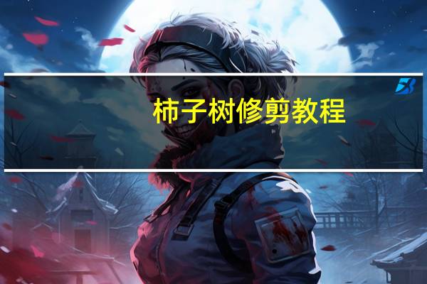 柿子树修剪教程,专家现场教学,手把手教你修剪