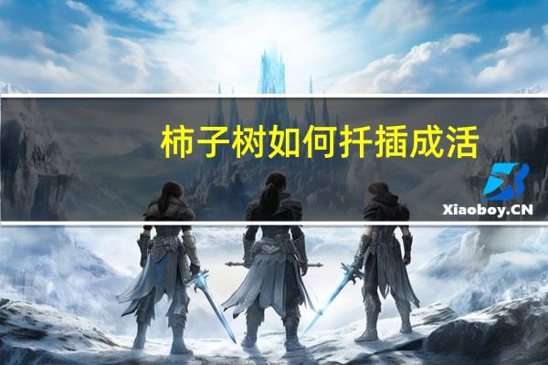 柿子树如何扦插成活