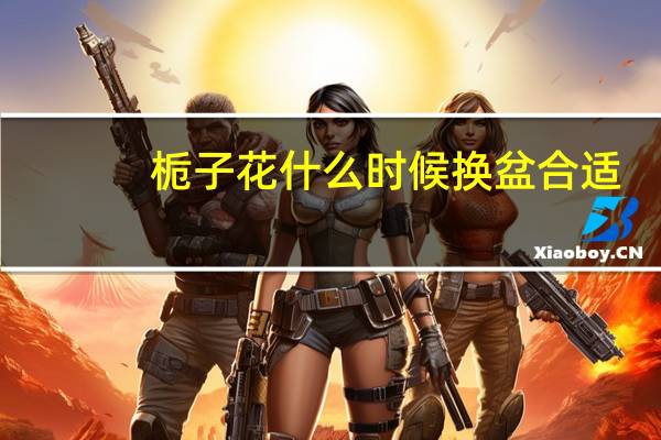 栀子花什么时候换盆合适