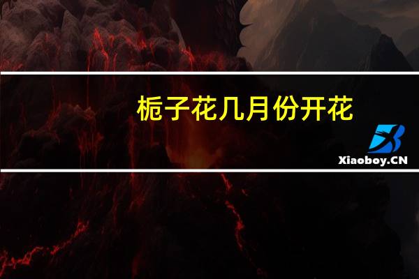 栀子花几月份开花