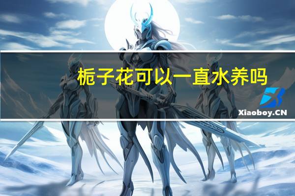 栀子花可以一直水养吗