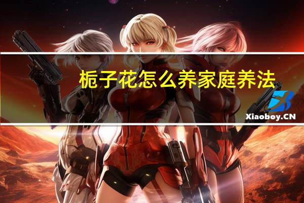 栀子花怎么养家庭养法
