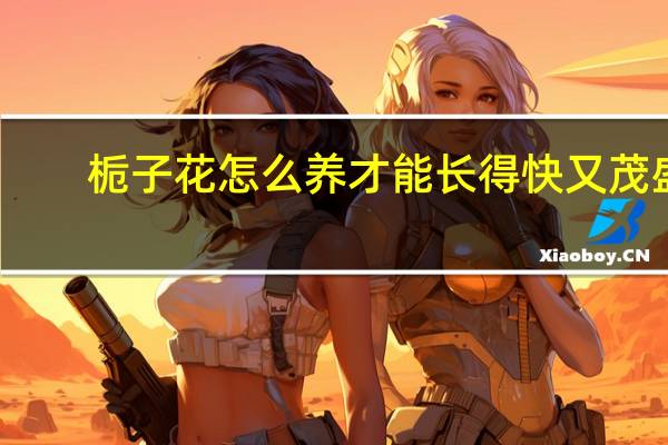 栀子花怎么养才能长得快又茂盛