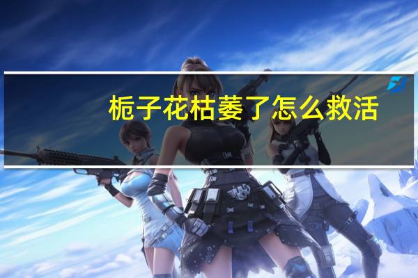 栀子花枯萎了怎么救活