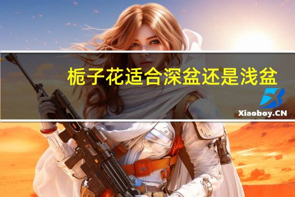 栀子花适合深盆还是浅盆
