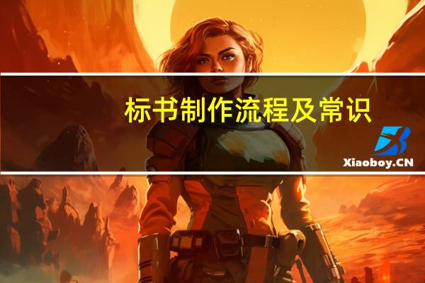标书制作流程及常识（标书制作流程）