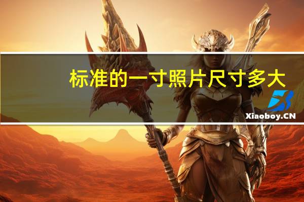标准的一寸照片尺寸多大