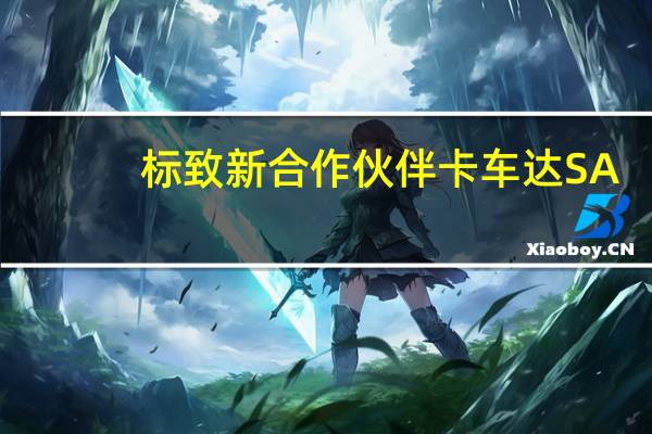 标致新合作伙伴卡车达SA