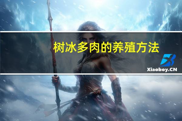 树冰多肉的养殖方法：耐旱