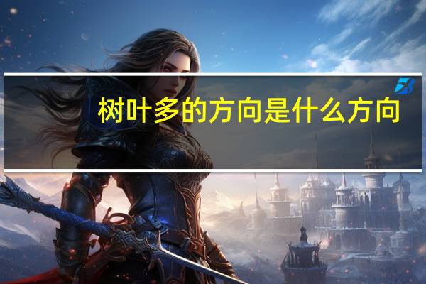 树叶多的方向是什么方向