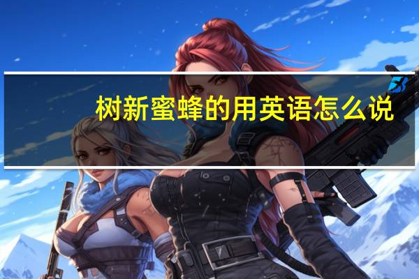 树新蜜蜂的用英语怎么说(树新蜜蜂英语怎么说)