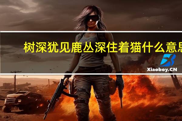 树深犹见鹿丛深住着猫什么意思