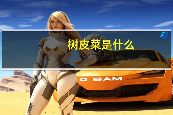 树皮菜是什么