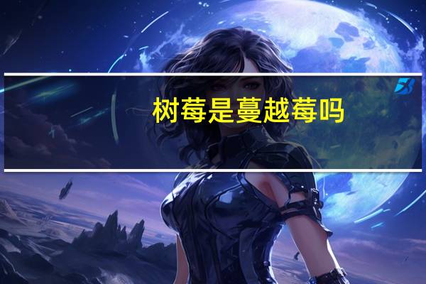树莓是蔓越莓吗
